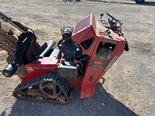 2022 TORO TRX-250