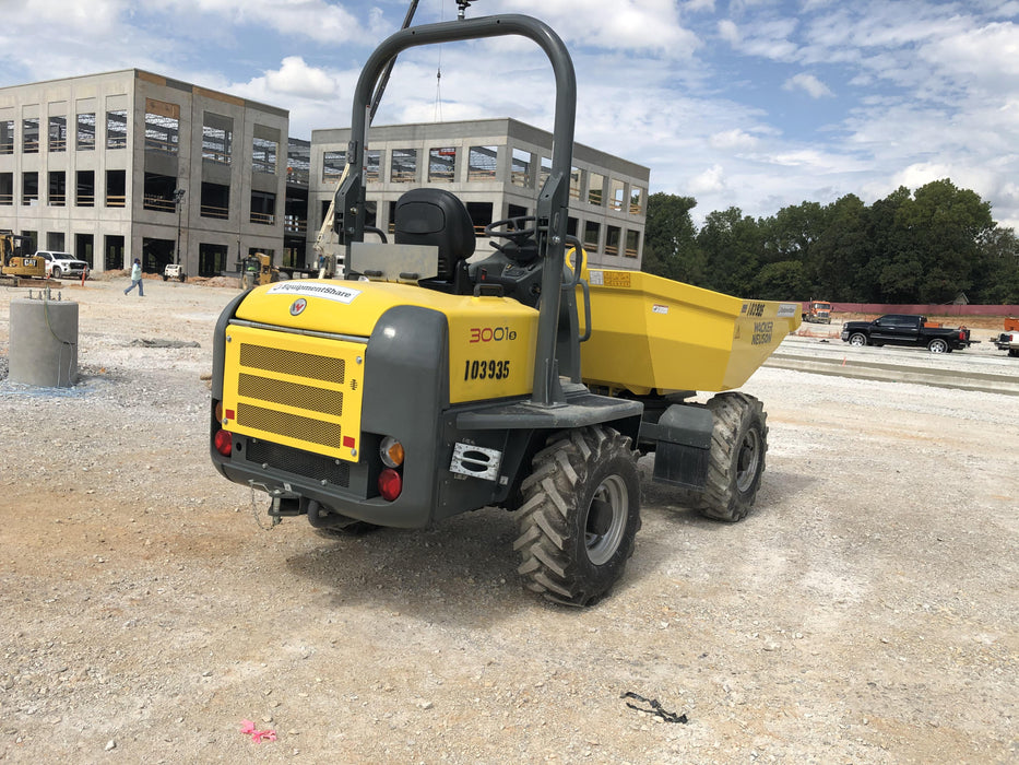 2020 WACKER NEUSON 3001