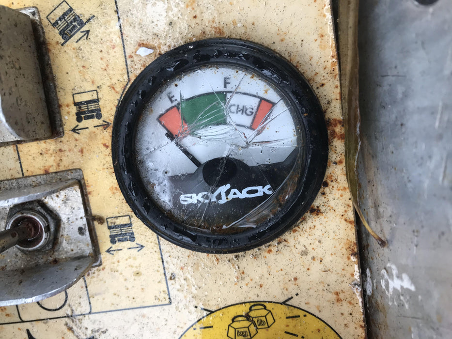 2019 Skyjack SJIII-3219 Standard w/Trojan Batteries