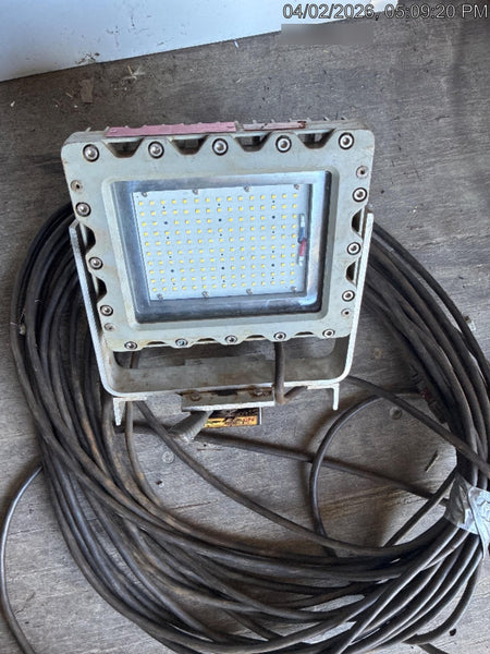 2024 WORKSITE LIGHTING RREXM-60W-M-M