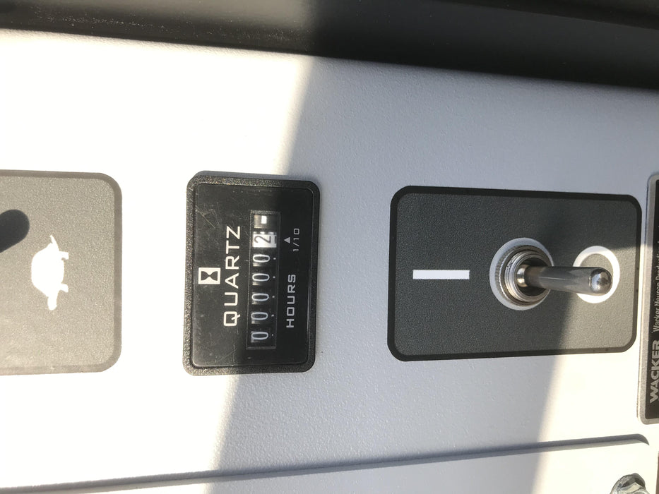 2019 WACKER NEUSON G25