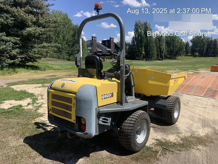 2020 WACKER NEUSON 3001