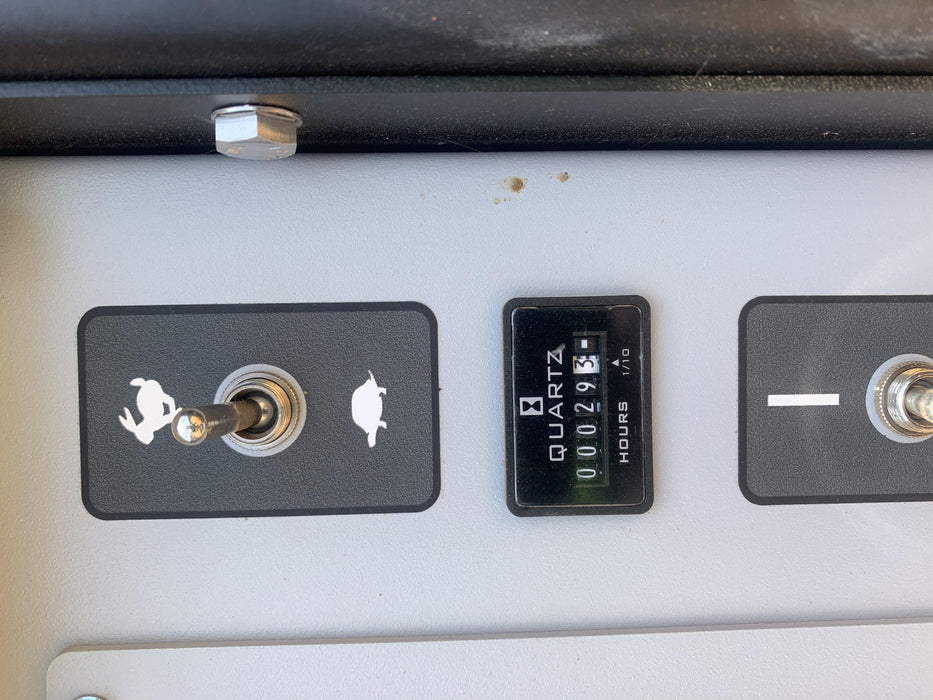 2019 WACKER NEUSON G25