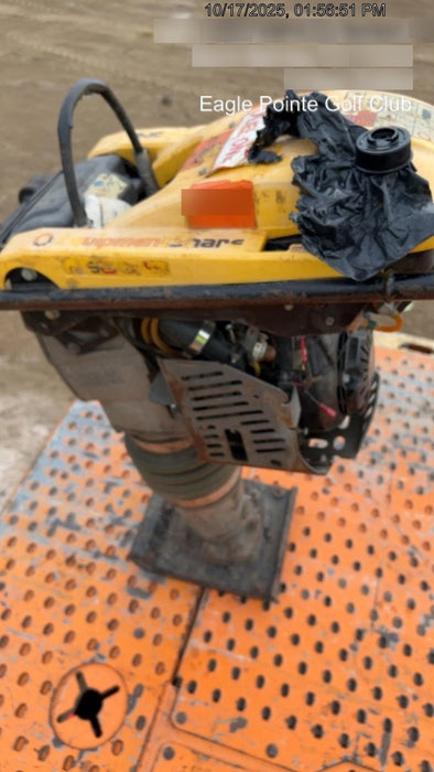 2019 WACKER NEUSON BS60-4As