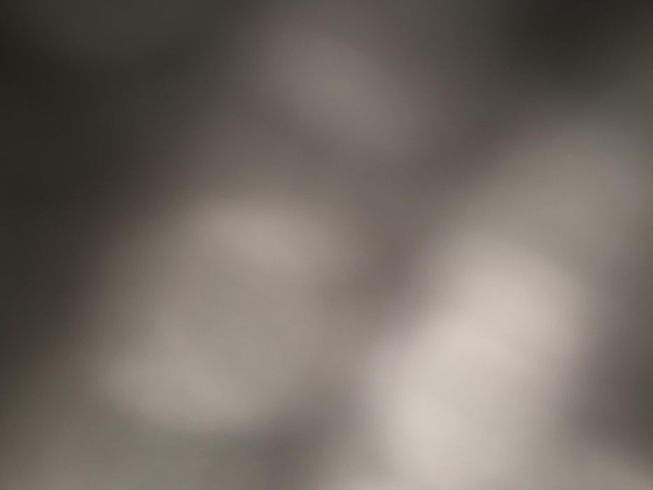 2020 Takeuchi TL12 Standard