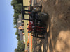 2020 MANITOU MTA5519