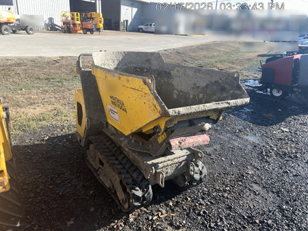 2019 WACKER NEUSON DT10