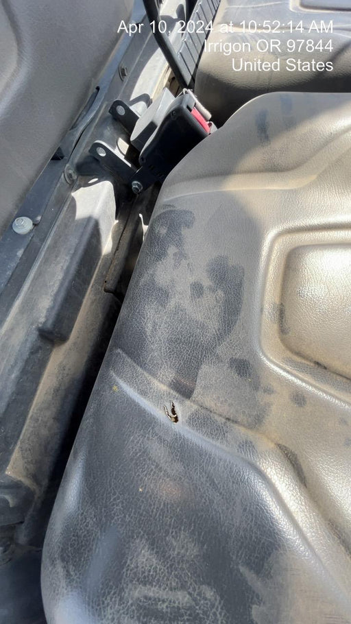 Kubota RTV-X1140W-H 4WD, LED Strobe, Windshield Acrylic Clear, Plastic Canopy, Wire Harness Kit, Backup Alarm