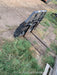 2020 PALADIN 48" Pallet Forks - Paladin