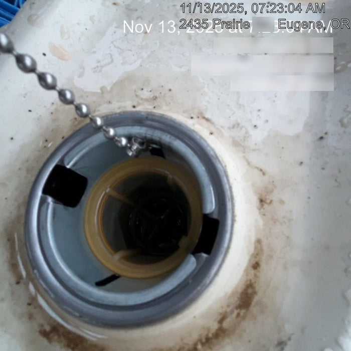 2025 WYLIE EXP-550L-S