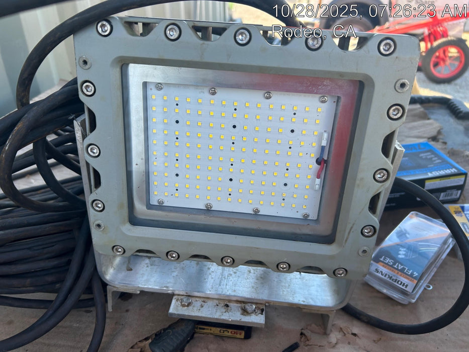 2024 WORKSITE LIGHTING RREXM-60W-M-M