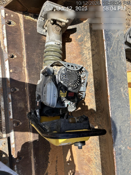 2025 WACKER NEUSON BS62-4Ab/28