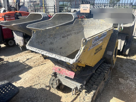 2019 WACKER NEUSON DT10