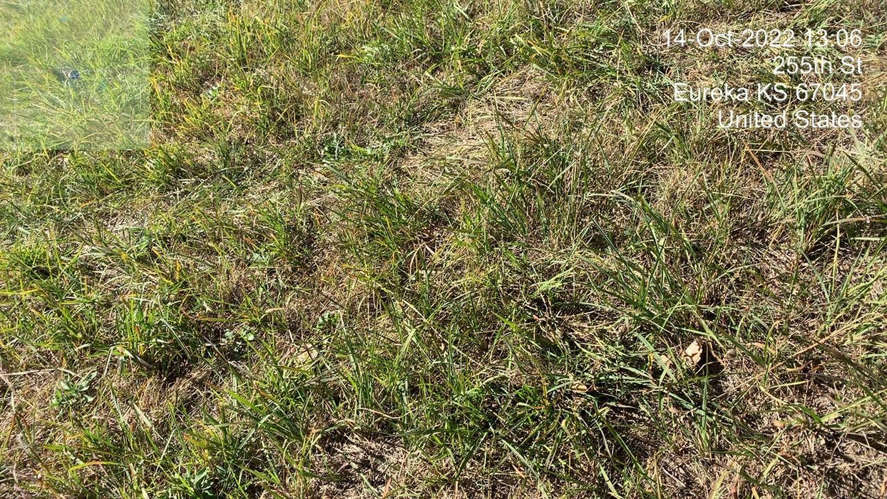 2022 PALADIN 30372A-0022