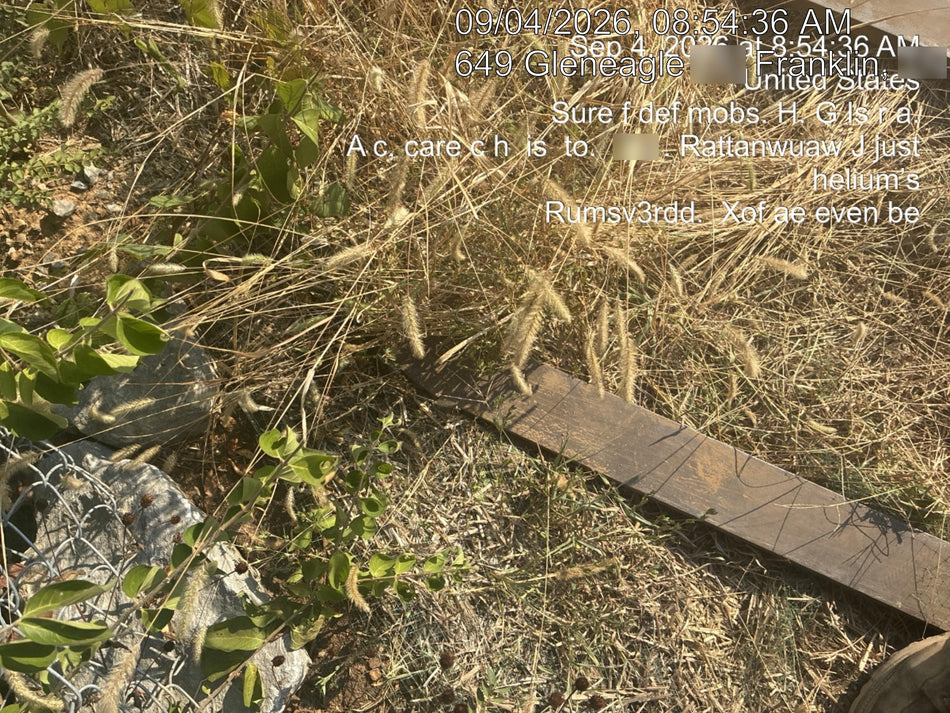2025 PALADIN 48" Pallet Forks - Paladin