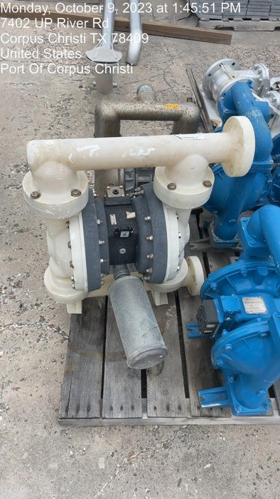 2021 INGERSOLL RAND PD20P-FPS-PTT