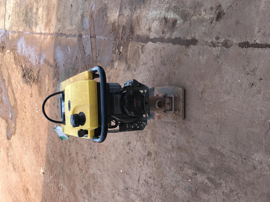 2019 WACKER NEUSON BS50-4As