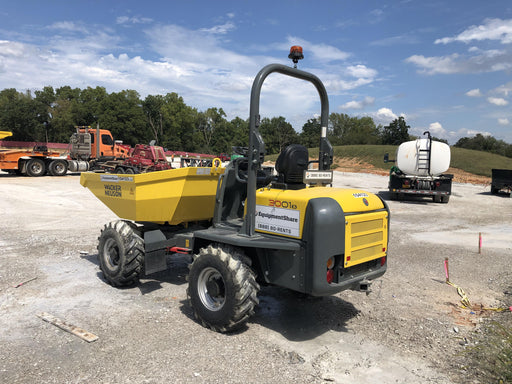 2020 WACKER NEUSON 3001