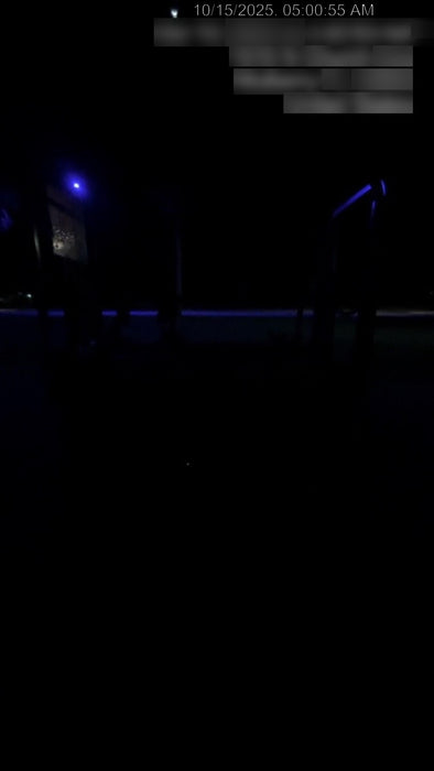 2020 Genie GS-1930 Fixed rails with chain entry gate - Pre A92.20