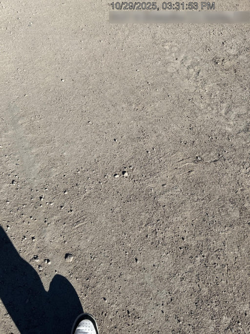 Wacker Neuson LTV6K-MH Wacker Neuson LTV6K Towable Light Tower