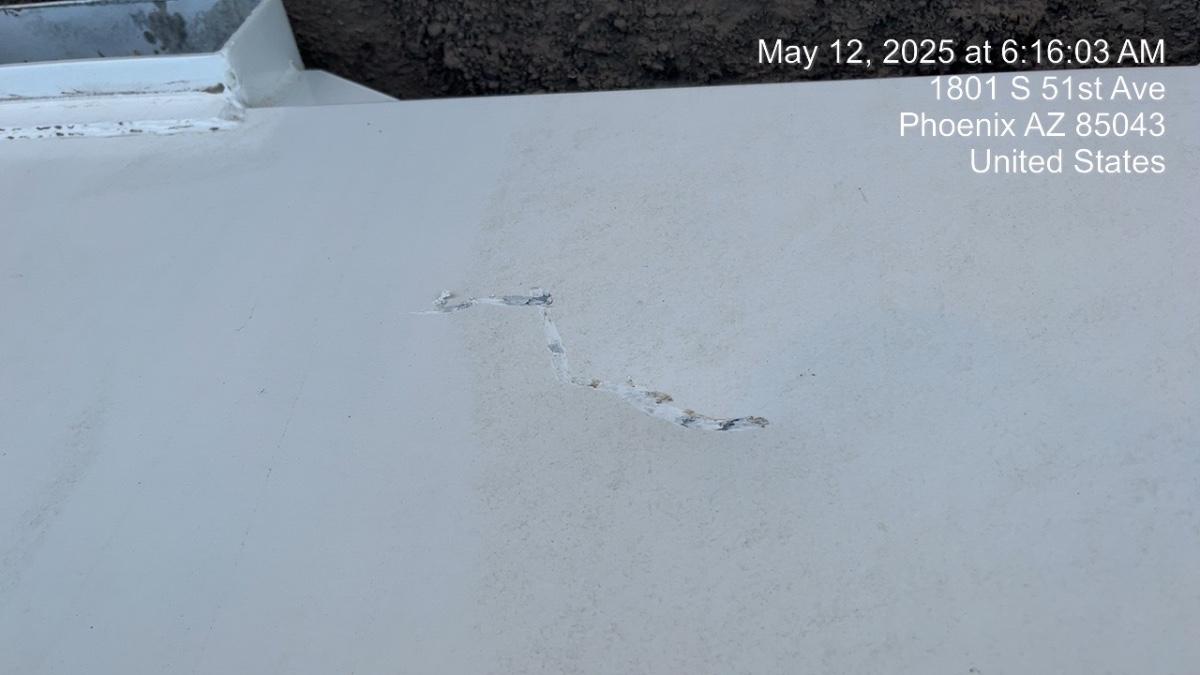 2025 WESTERN GLOBAL 50TCG