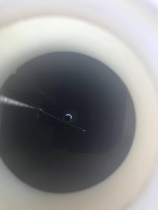 2019 Wacker Neuson LTV6L-MH Standard Options, ES Track Hardware, Fuel Level Sensor