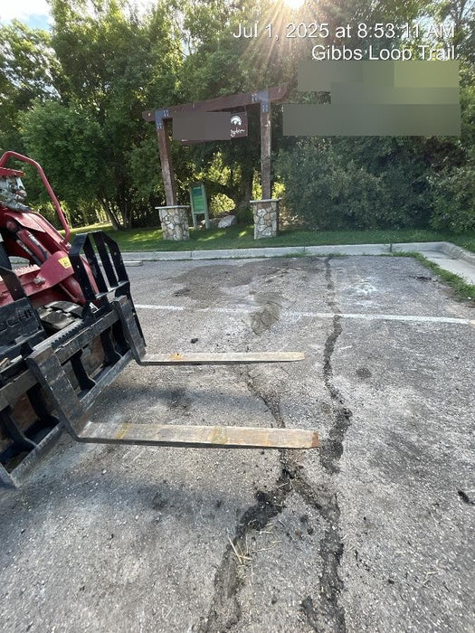 2021 TAKEUCHI 48" Pallet Forks - Takeuchi