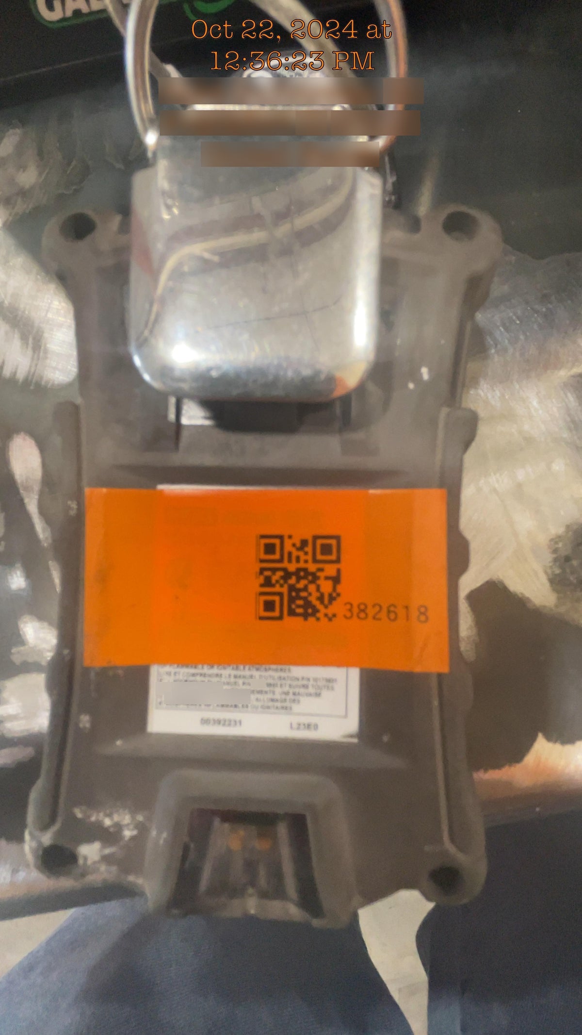 2024 MSA 10178557