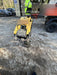 2020 WACKER NEUSON BS60-4As